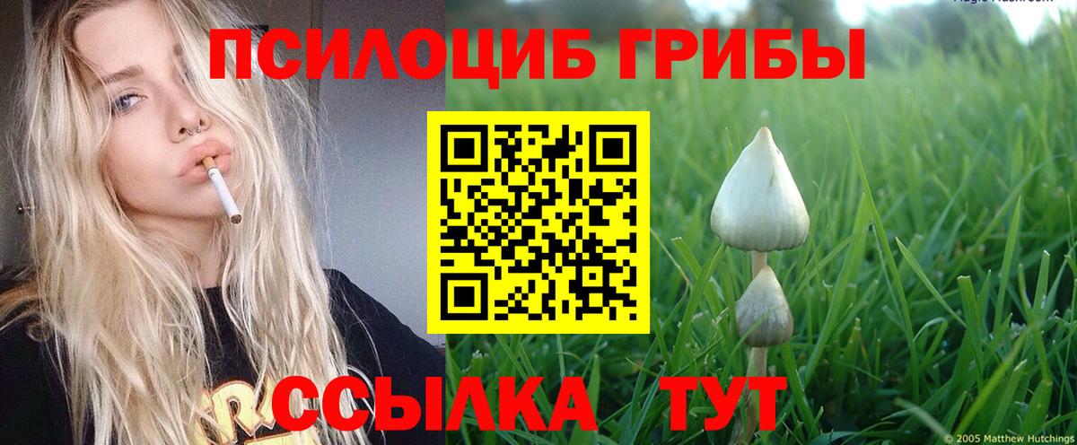 Галлюциногенные грибы мухоморы Гурьевск