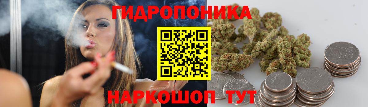 Бошки марихуана сатива Гурьевск